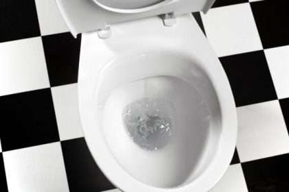 Is It Better To Flush The Toilet With The Lid