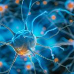 Als Research Reveals Subtypes And Promising Drug Targets