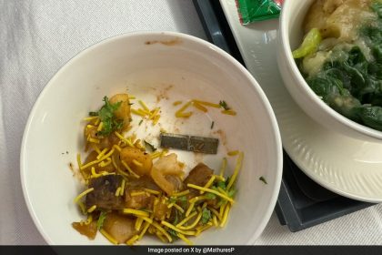 Air India Passenger Finds Knife In In Flight Meal, Airline Responds