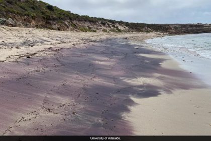 Ancient Antarctic Mountain Range Discovered In Australia's Pink Sand