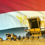 Natural Gas Shortage Causes Egyptian Fertilizer Prices To Rise By