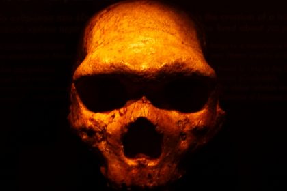 Neanderthal Dna Is Present In Humans, But Part Of The