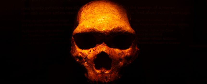 Neanderthal Dna Is Present In Humans, But Part Of The