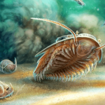 Never Before Seen Features Discovered In 508 Million Year Old "pompeii" Trilobite Fossil
