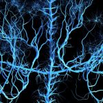 Physicists Say The Complexity Of The Human Brain Is On