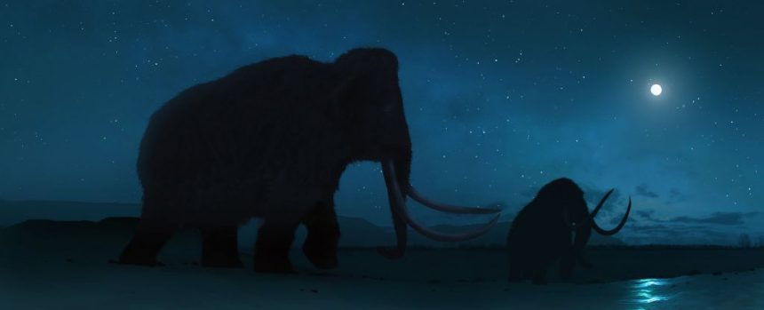 Scientists Claim That Space Debris That Killed Mammoths Is Buried