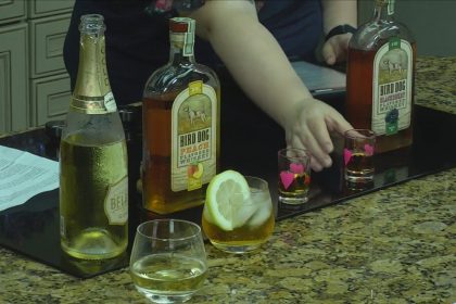 Summer Inspired Drink Recipes Using Lone Star Liquor
