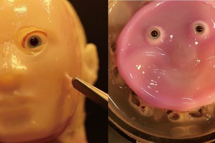 This Robotic Smiling Face Made Of Living Skin Is Absolute
