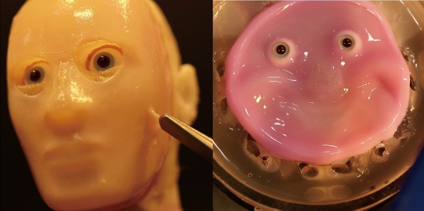 This Robotic Smiling Face Made Of Living Skin Is Absolute