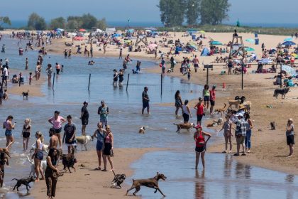 What To Know About Chicago Beaches As Heatwaves Approach –