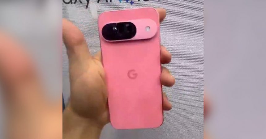 A Model That Appears To Be A Bright Pink Pixel