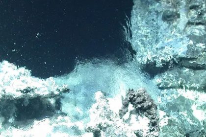 Amazing Hydrothermal Environment Discovered Deep In Ocean: Sciencealert