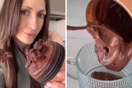 Blogger's Scrambled Egg Chocolate Pudding Recipe Has Internet Users Saying