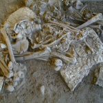 Europe's First Farmers Mysteriously Disappeared 5,000 Years Ago Scientists