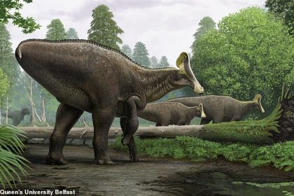 Giant Dinosaur Skeleton Unearthed In Us State. 'incredibly Rare' 30ft