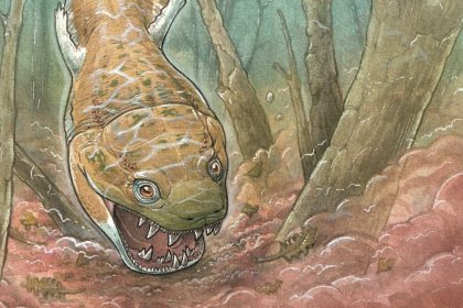 Giant Salamander Like Fossil Unearthed In Namibia