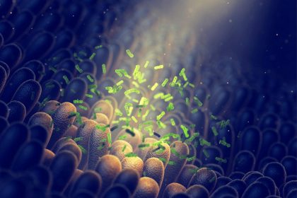 Groundbreaking Study Reveals Link Between Gut Bacteria, Food Addiction And
