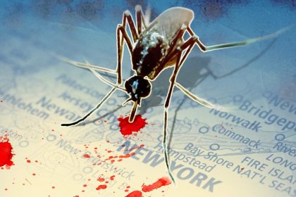 Mosquitoes Infected With West Nile Virus Have Been Identified In
