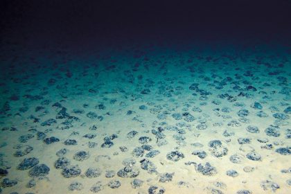 Scientists Discover 'dark Oxygen' Produced Without Light In The Deep